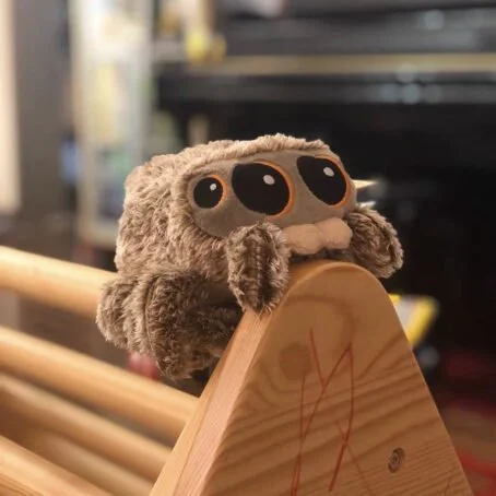 Peluche Araignée Mignonne