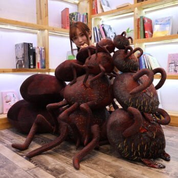 Doudou Fourmi Géant