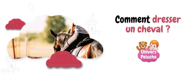 Read more about the article Comment dresser un cheval ?