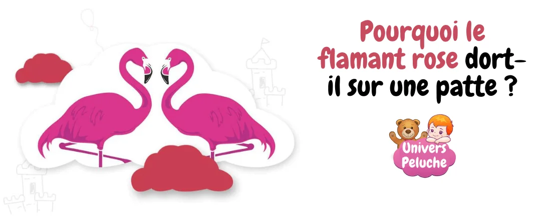 Pourquoi le flamant rose dort sur une patte ? 1 You are currently viewing Pourquoi le flamant rose dort sur une patte ?