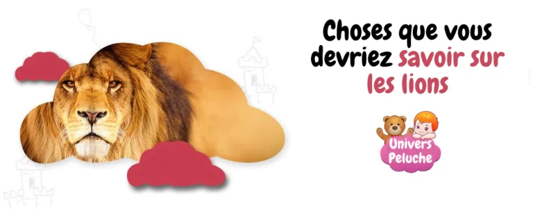 Read more about the article Choses que vous devriez savoir sur les lions
