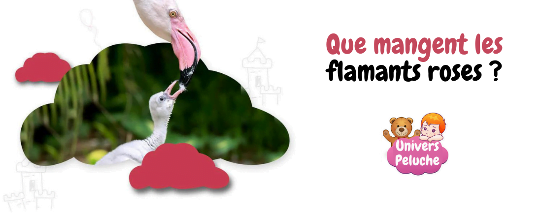 You are currently viewing Que mangent les flamants roses ?
