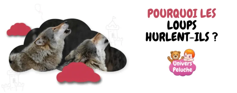 Read more about the article POURQUOI LES LOUPS HURLENT-ILS ?