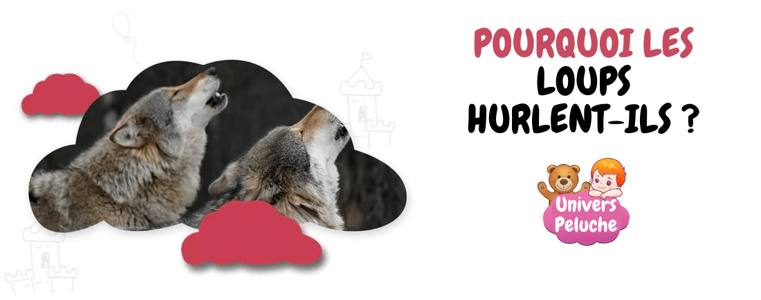 POURQUOI LES LOUPS HURLENT-ILS ? 3 Read more about the article POURQUOI LES LOUPS HURLENT-ILS ?