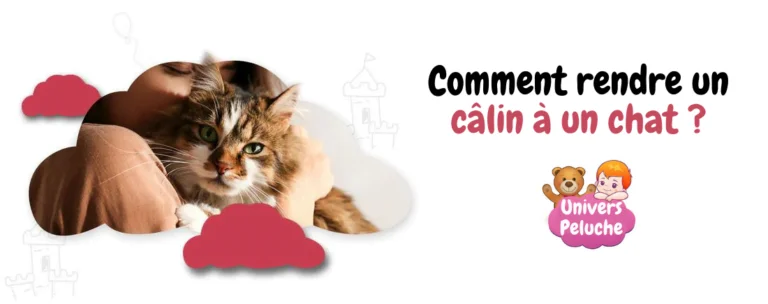 Read more about the article Comment rendre un câlin à un chat ?