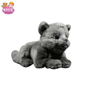 Chat En Peluche Britannique
