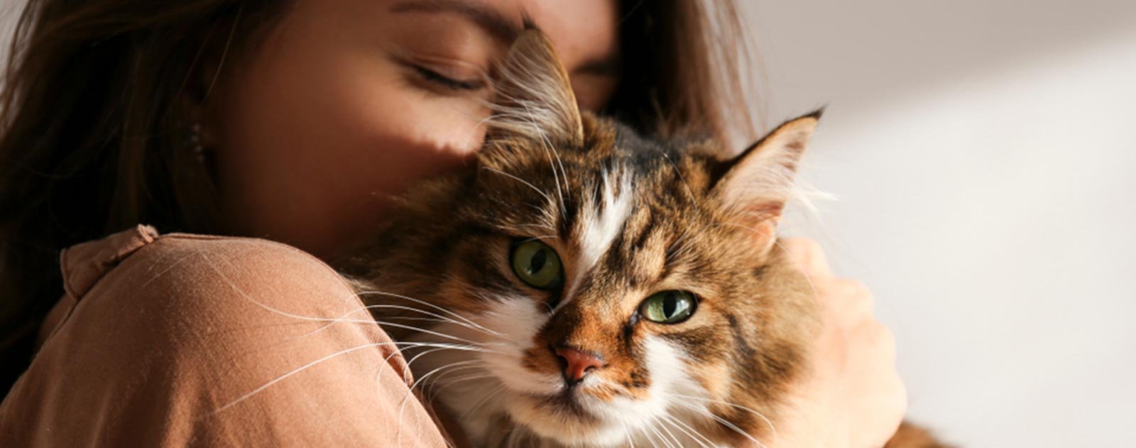 fille caline un chat