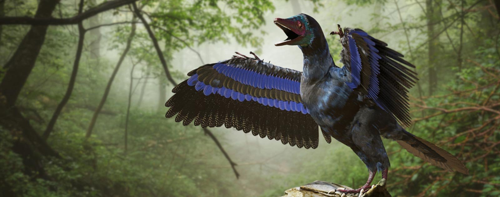 Quand le premier dinosaure est-il apparu sur terre ? 3 dinosaure avec des ailes