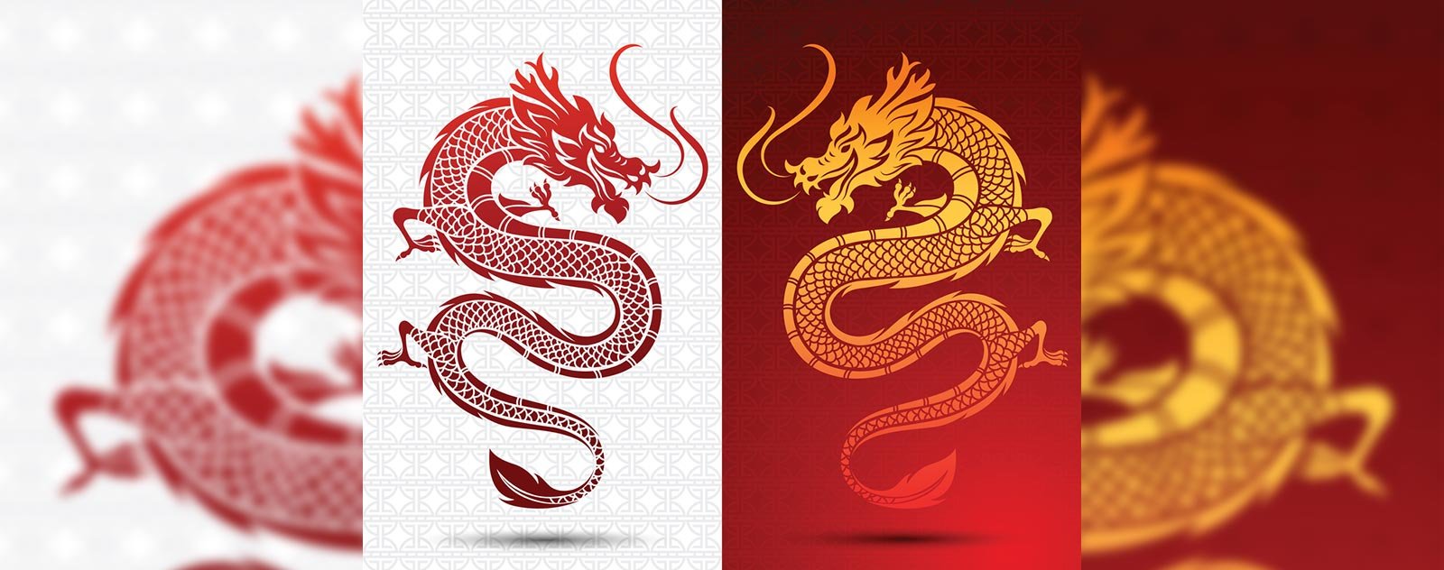 Les Symbolismes du Dragon : Dragon dans la Culture Chinoise 2 image de dragon en haute définition