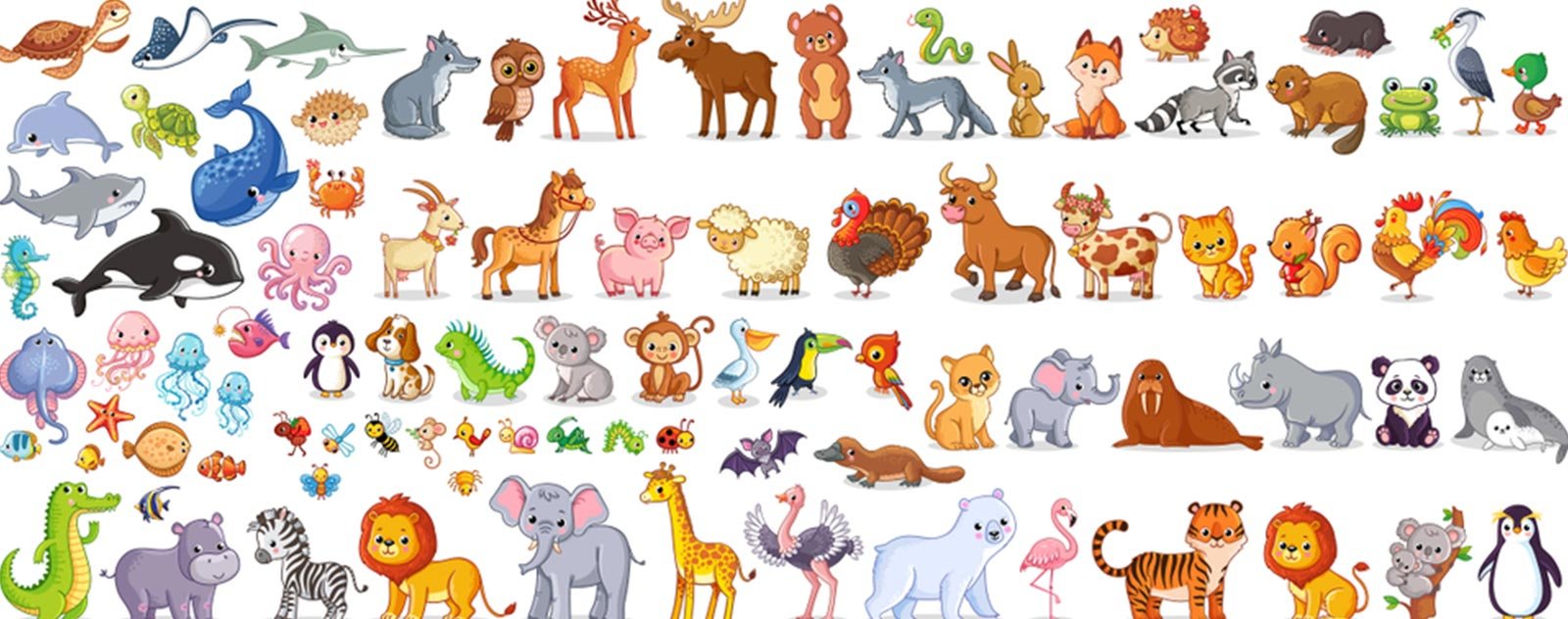 Les Animaux les plus rapides au monde 3 photo d'animaux
