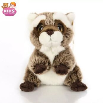 Jouets En Peluche De Raton Laveur