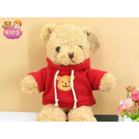 Ours en peluche rouge avec un pull