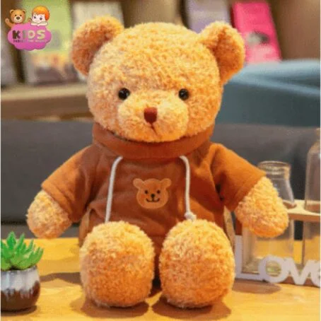 Ours en peluche avec pull