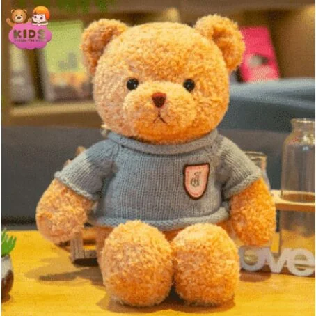 Ours en peluche avec pull