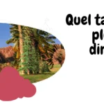 Quel taille faisait le plus grand dinosaure ?
